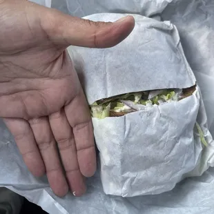 size comparison of hand to Chicken Salad sandwich