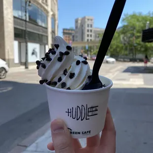 Vanilla custard with chocolate chips