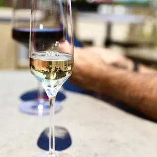 excellent wines