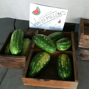 a display of cucumbers and apples