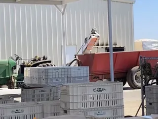 Friesen Family Farms