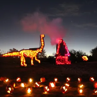 We spotted pumpkin dinosaurs &amp; dragons!