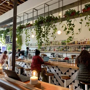 people sitting at the bar