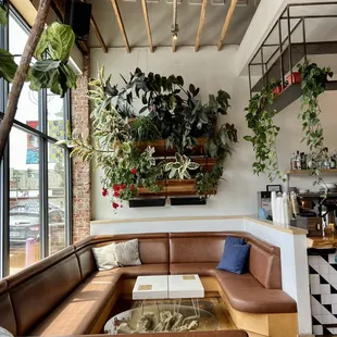 a living room with a couch, coffee table, and potted plants