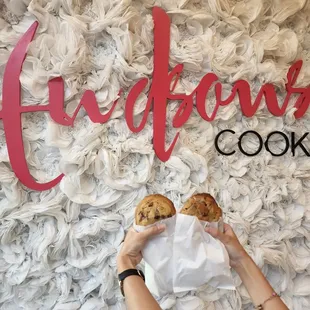 Hudson's cookie backdrop