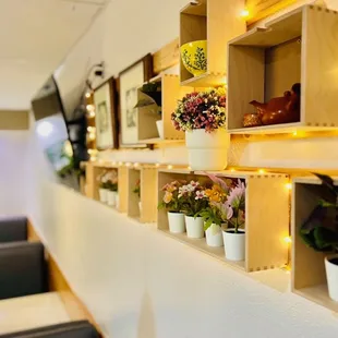 a row of wooden shelves with potted plants