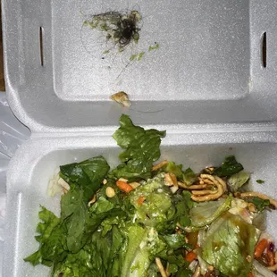 Hair in my Thai Chicken Salad!