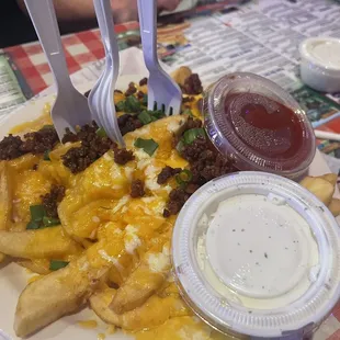 CHEESE FRIES  OR TOTS WITH BACON &amp; SCALLIONS