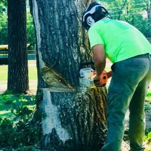 Huff&apos;s Tree Service