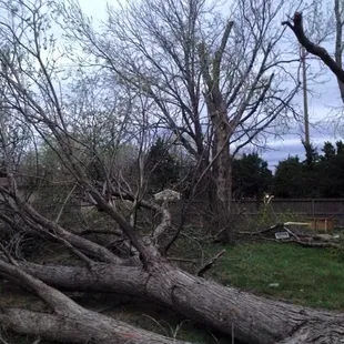 Huff&apos;s Tree Service