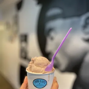 a hand holding a cup of ice cream