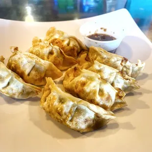 Crispy Dumplings