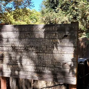 The sign that tells guests all about the part of the tree that was transported to the park.