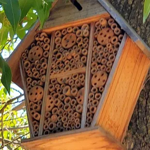 A little house in the tree. Is it a bird house?