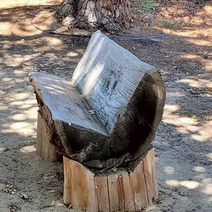 A bench that is made from a tree, and looks like Pac-Man! :)