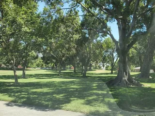 Davis Community Park