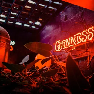 Neon lighting in the basement