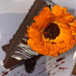 Quinoa-Chocolate Cake