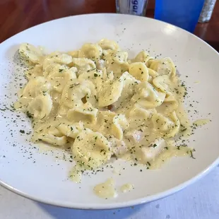 a plate of pasta with cheese