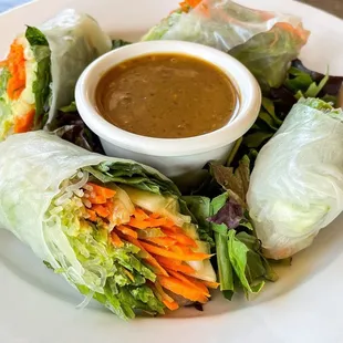 Asian Spring Rolls
