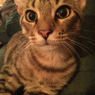 T M.