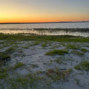 Family Beach Side at low tide