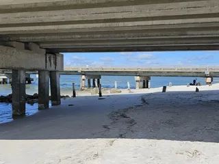 Amelia Island State Park