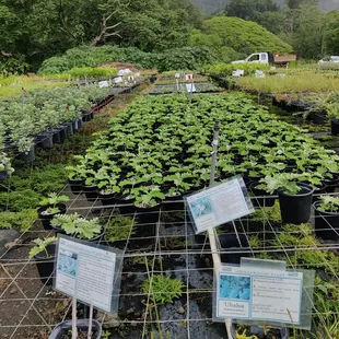 Open air... Neatly arranged with labels!