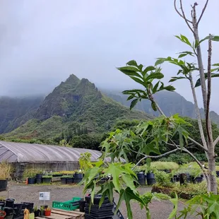 Such a beautiful setting!