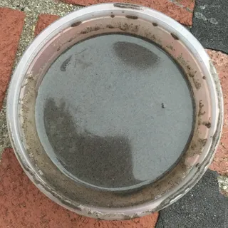 E3. Sesame Porridge with Chewy Ball