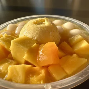 Inflation hits HLS. Overpriced cheap sour unripe Australian mango with tiny freezer burn mango ice cream in a tiny bowl