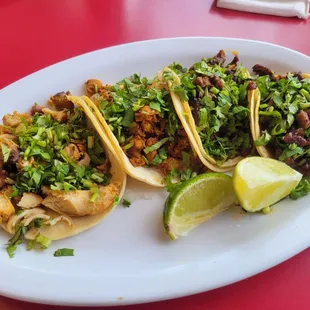 Pollo Asada, Al Pastor, and two Carne Asada Street Tacos. Love the chicken and Al Pastor here!