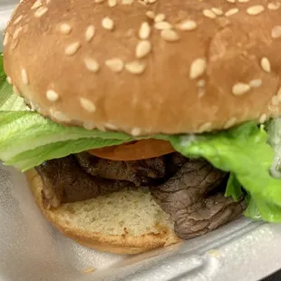 Teri Beef