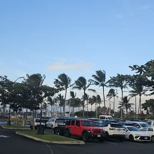 11-4-24. Parking lot