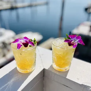 Mai Tai&apos;s