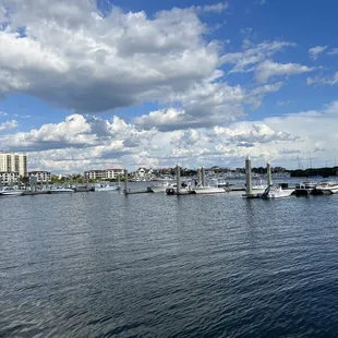View from deck