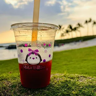 Black Iced Tea with Li Hing Mui @ Lagoon #3