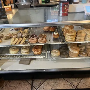 Hula Donuts 2/2025