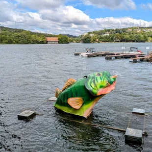 Exterior decor and view