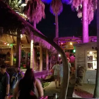 Palm Tree Hugger Nachos