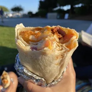 wraps, food, burritos and wraps, burrito