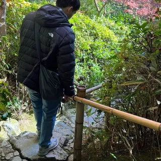 Brandon P.