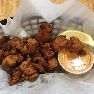 Gator Bites