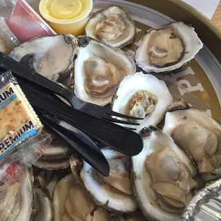 Oyster