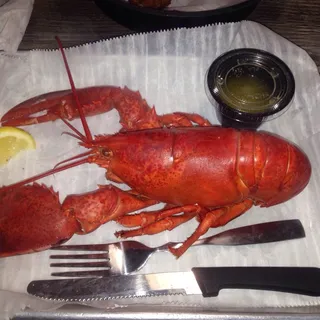 1.25lb Maine Lobster