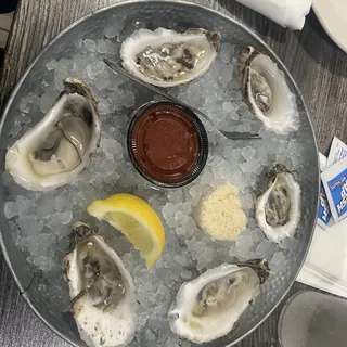 Oyster (12)