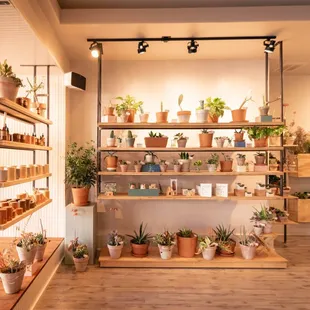 potted plants grown in OK