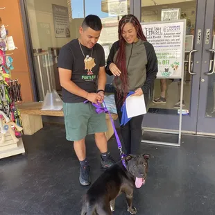 Nova  New dog. We are beyond happy with the dog Erin chose for us. The perfect match!!!!