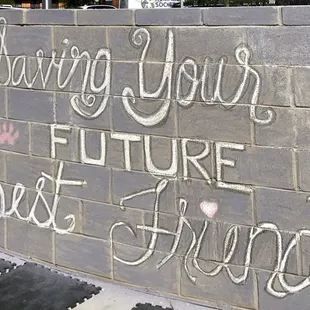 Saving your Future Best Friend