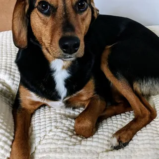 Zoe N.